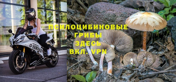 кокаин перу Алзамай