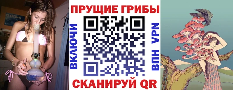 Псилоцибиновые грибы мицелий  mega рабочий сайт  Апрелевка 